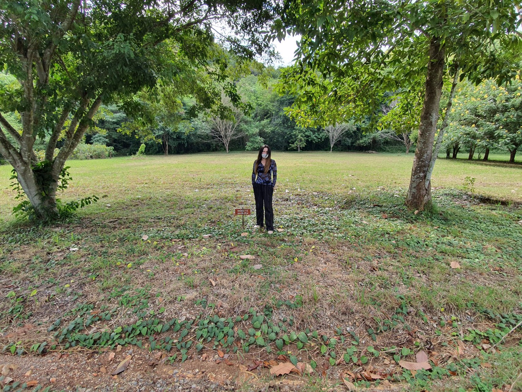 ขายที่ดิน-1-ไร่-ตำบลหนองน้ำแดง-อำเภอปากช่อง-นครราชสีมา