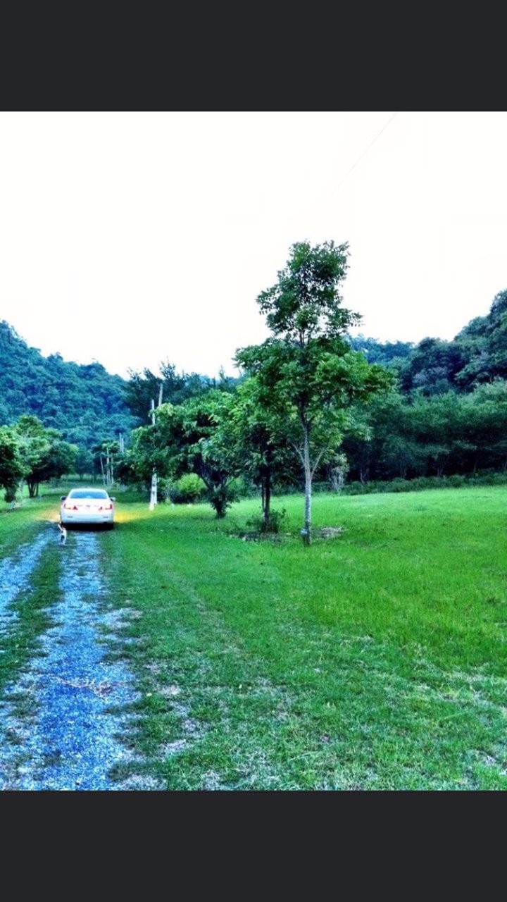 ขายที่ดิน-1-ไร่-ตำบลหนองน้ำแดง-อำเภอปากช่อง-นครราชสีมา