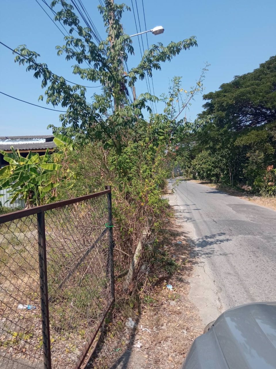 ขายที่ดินมีนบุรี-โฉนด-584-ตรวา-คู้ขวา-ซราษฎร์อุทิศ-70