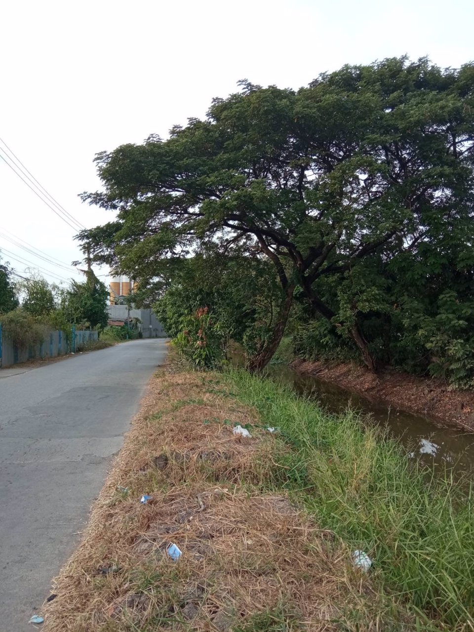 ขายที่ดินมีนบุรี-โฉนด-584-ตรวา-คู้ขวา-ซราษฎร์อุทิศ-70