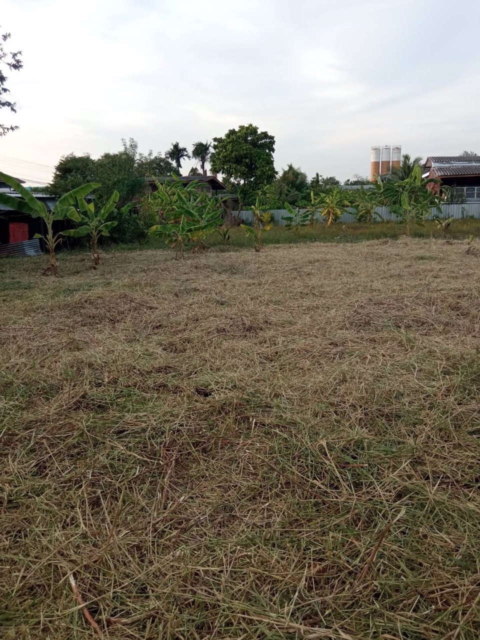 ขายที่ดินมีนบุรี-โฉนด-584-ตรวา-คู้ขวา-ซราษฎร์อุทิศ-70