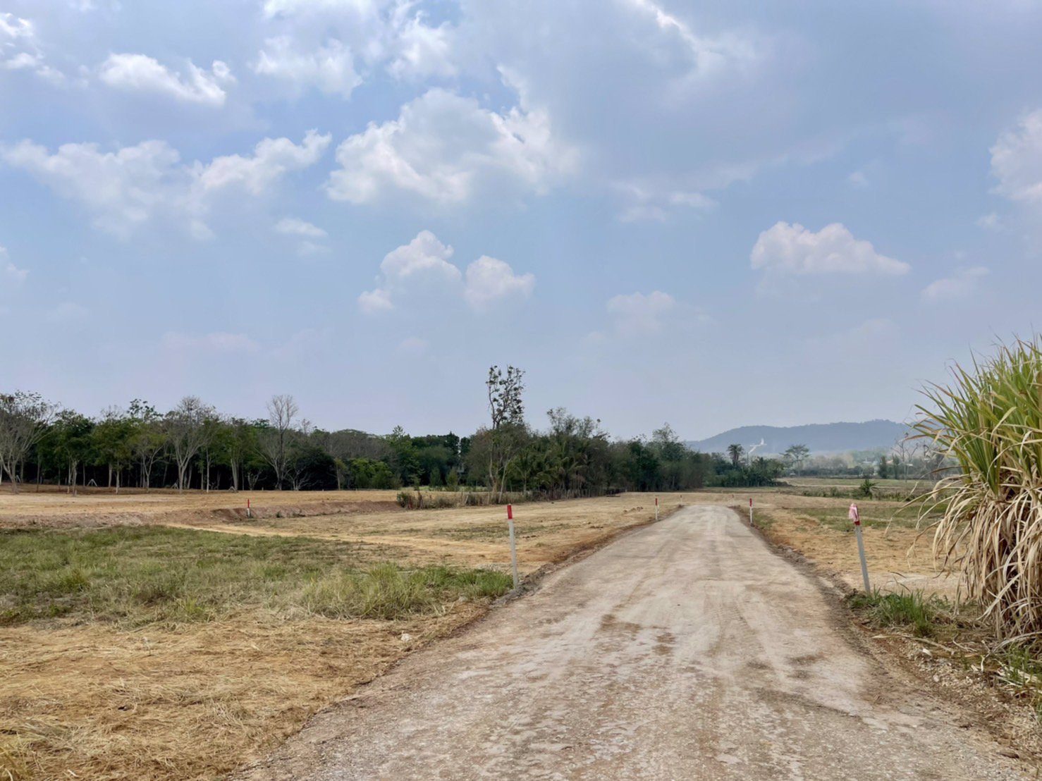 ขายที่ดินเขาใหญ่-วิวเขาใหญ่-ที่ดินสวย-ย่าน-toscana