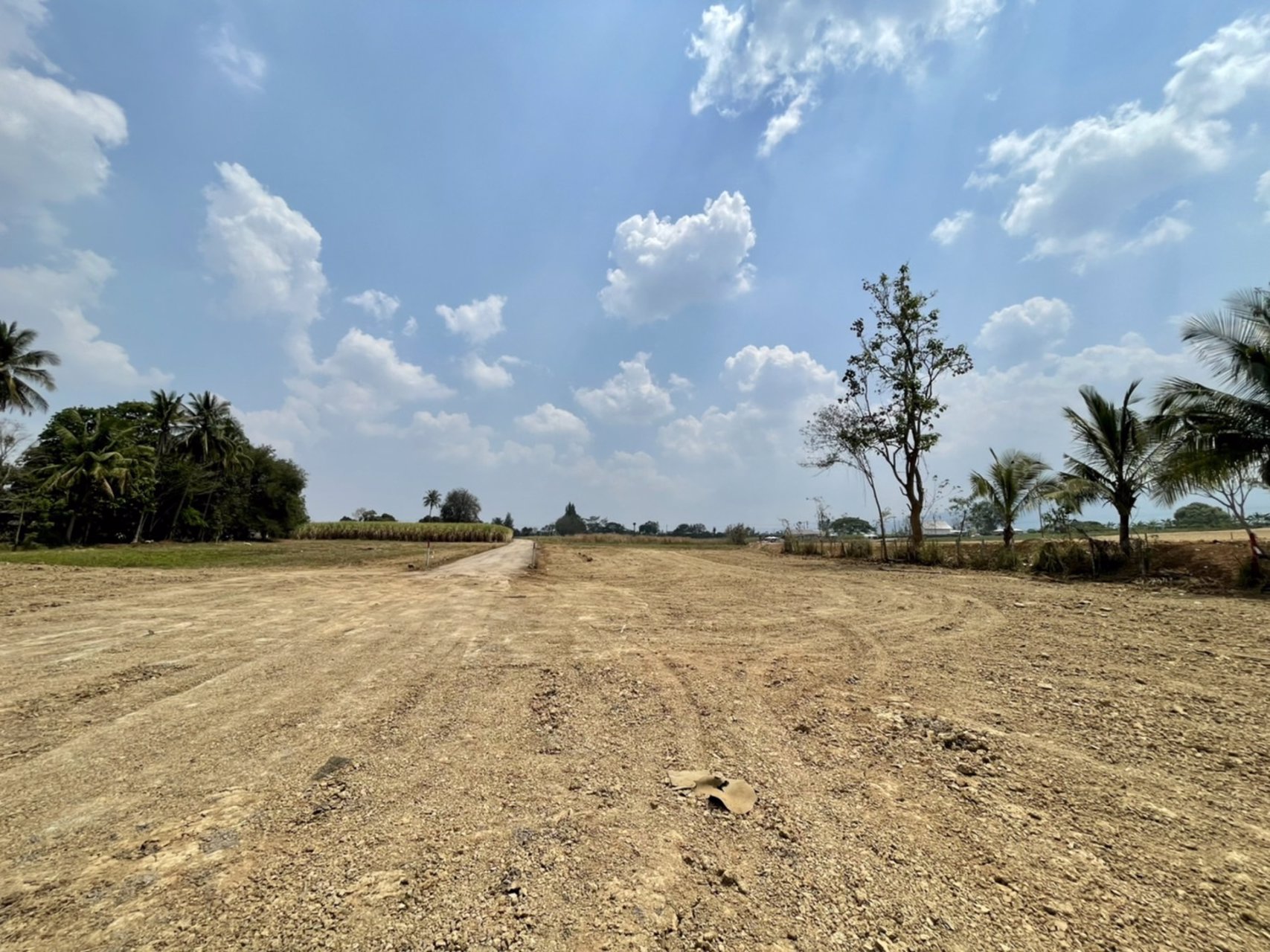 ขายที่ดินเขาใหญ่-วิวเขาใหญ่-ที่ดินสวย-ย่าน-toscana