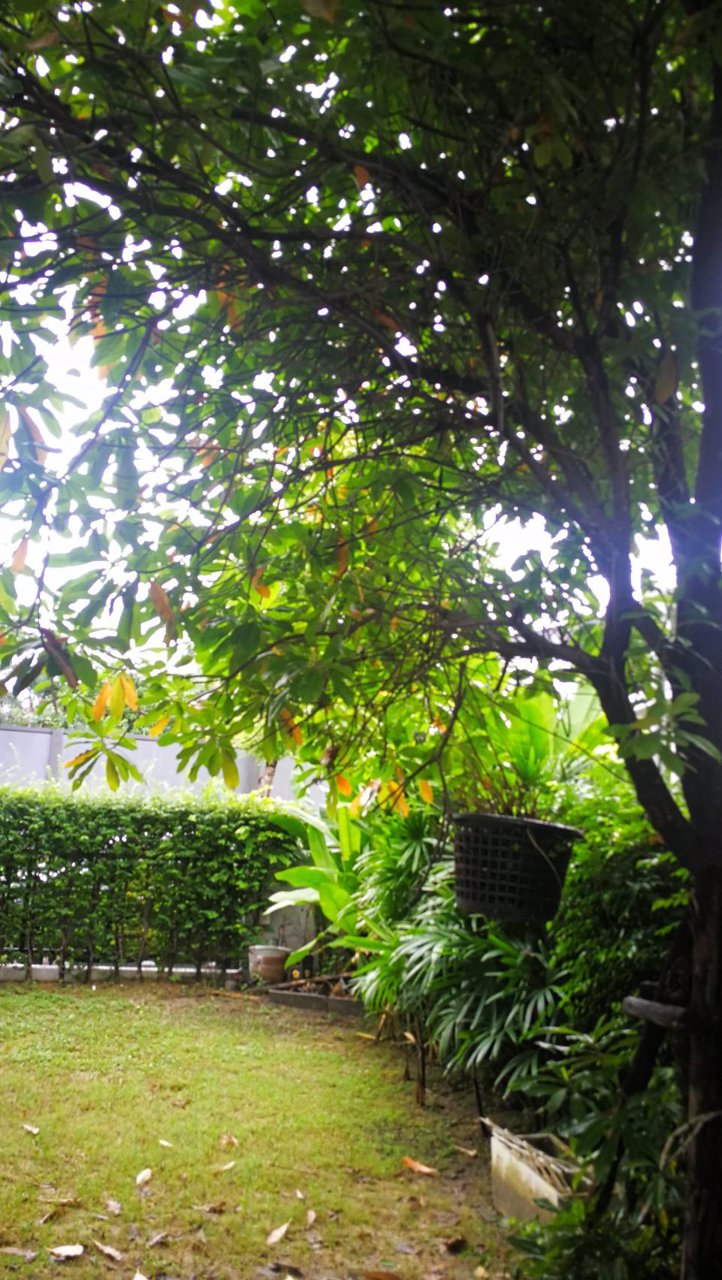 ขายบ้านเดี่ยว-78-ตรว-หมู่บ้านคาซ่าลีเจ้น-ซอยรามอินทรา-14