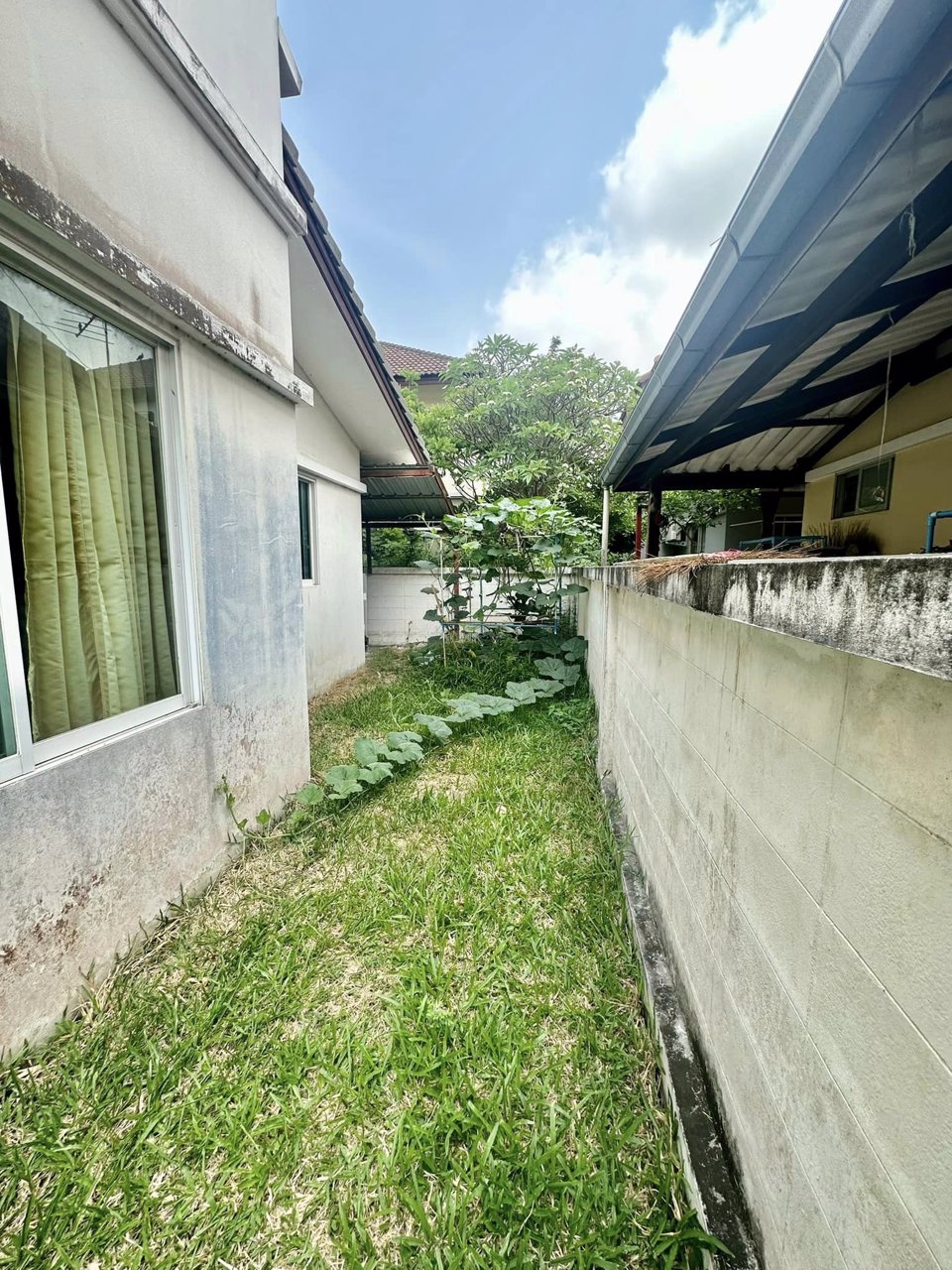 ขายด่วน-บ้านเดี่ยวหลังใหญ่-เนื้อที่-100-ตรว