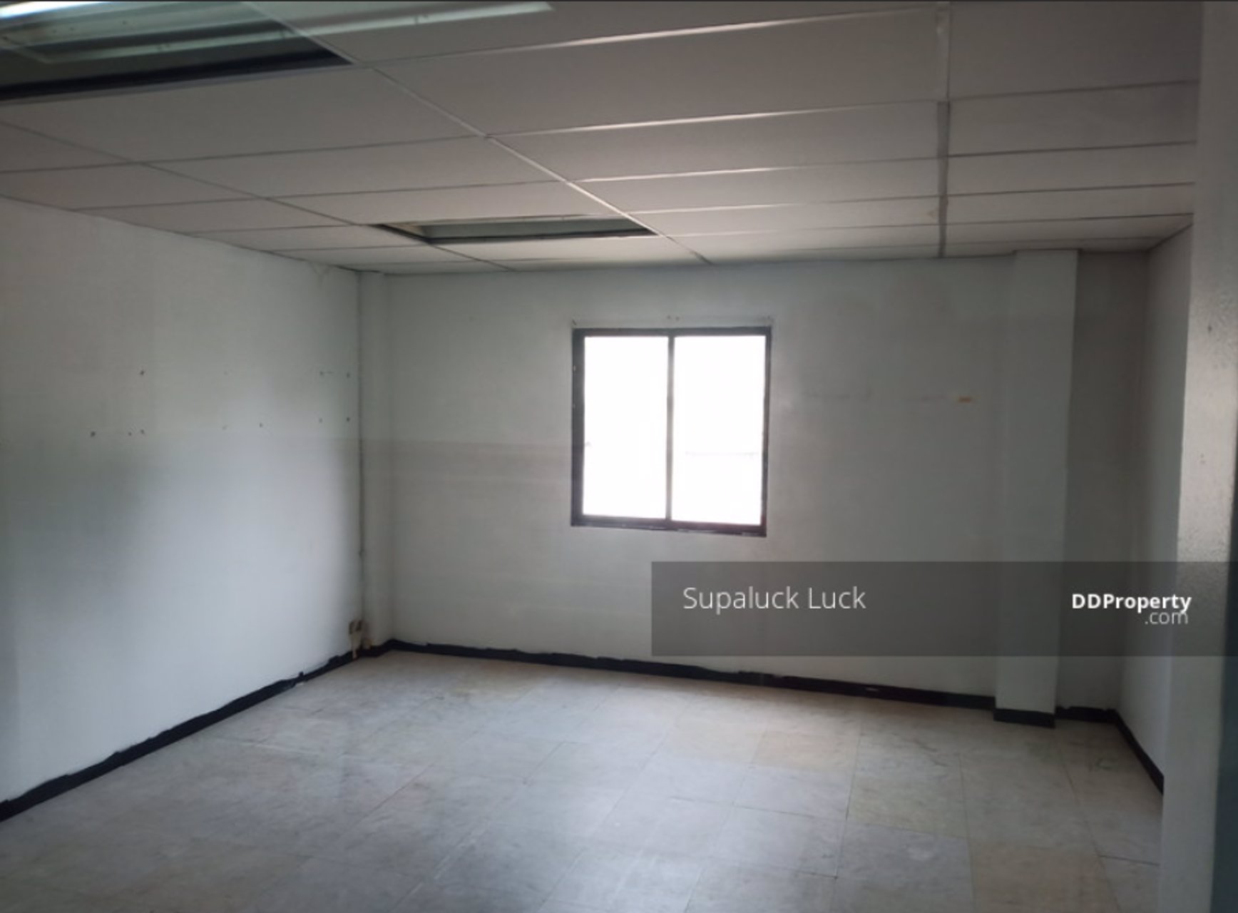 ให้เช่า-พื้นที่-ขนาด-30-ตร-ม-ใกล้-bts-อุดมสุข-เพียง-150-เมตร-ปากซอยสุขุมวิท-101-2