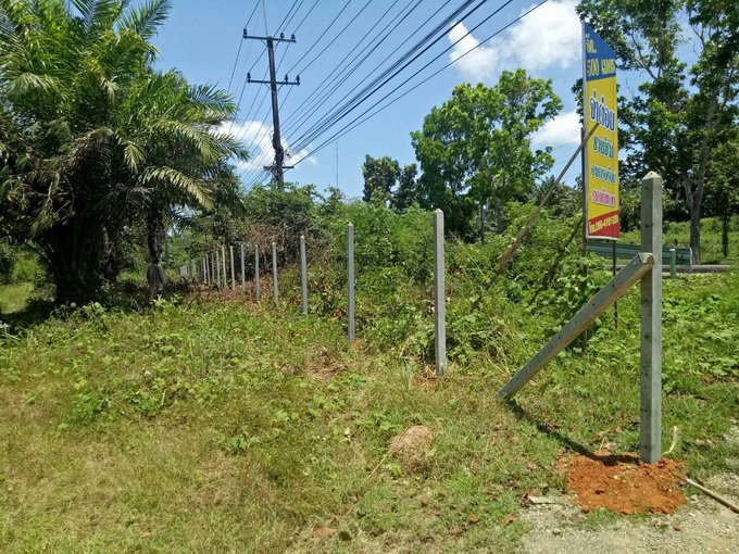 ขายที่ดินพร้อมสวนปาล์ม-ขนาด-21-ไร่-ทำเลดีมากๆ-ติดถนนเพชรเกษม-ใกล้-land-bridge-ใกล้-กศนท่าแซะ