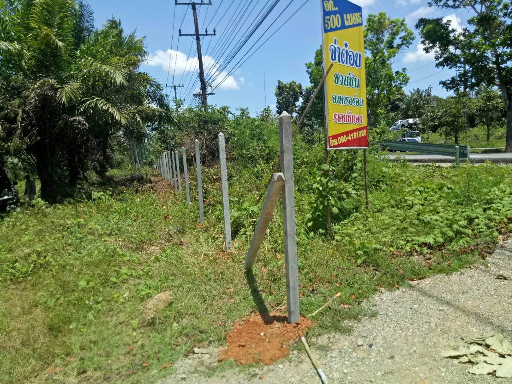 ขายที่ดินพร้อมสวนปาล์ม-ขนาด-21-ไร่-ทำเลดีมากๆ-ติดถนนเพชรเกษม-ใกล้-land-bridge-ใกล้-กศนท่าแซะ