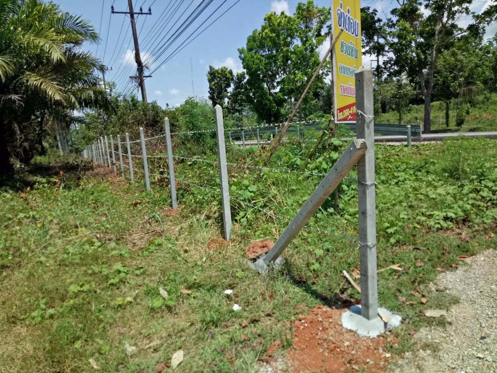 ขายที่ดินพร้อมสวนปาล์ม-ขนาด-21-ไร่-ทำเลดีมากๆ-ติดถนนเพชรเกษม-ใกล้-land-bridge-ใกล้-กศนท่าแซะ