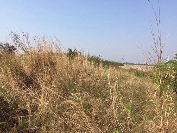 ให้เช่าที่ถมแล้ว-ขนาด-57-ไร่-ทำเลดีมากๆ-ติดถนนพระราม2-ใกล้แหล่งชุมชน-และหน่วยงานราชการ-0927826142