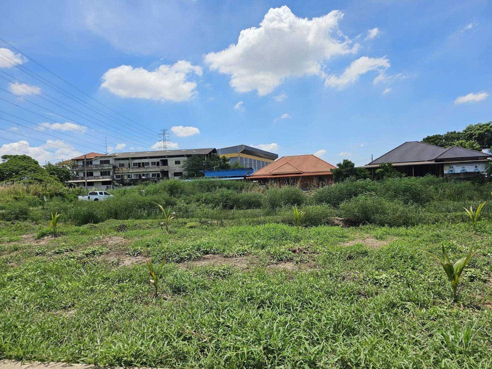 ด่วนถูกจริง-ขายที่เปล่าติดถนนผังสีม่วง-อำเภอกระทุ่มแบน