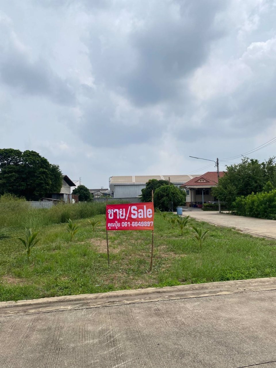 ด่วนถูกจริง-ขายที่เปล่าติดถนนผังสีม่วง-อำเภอกระทุ่มแบน