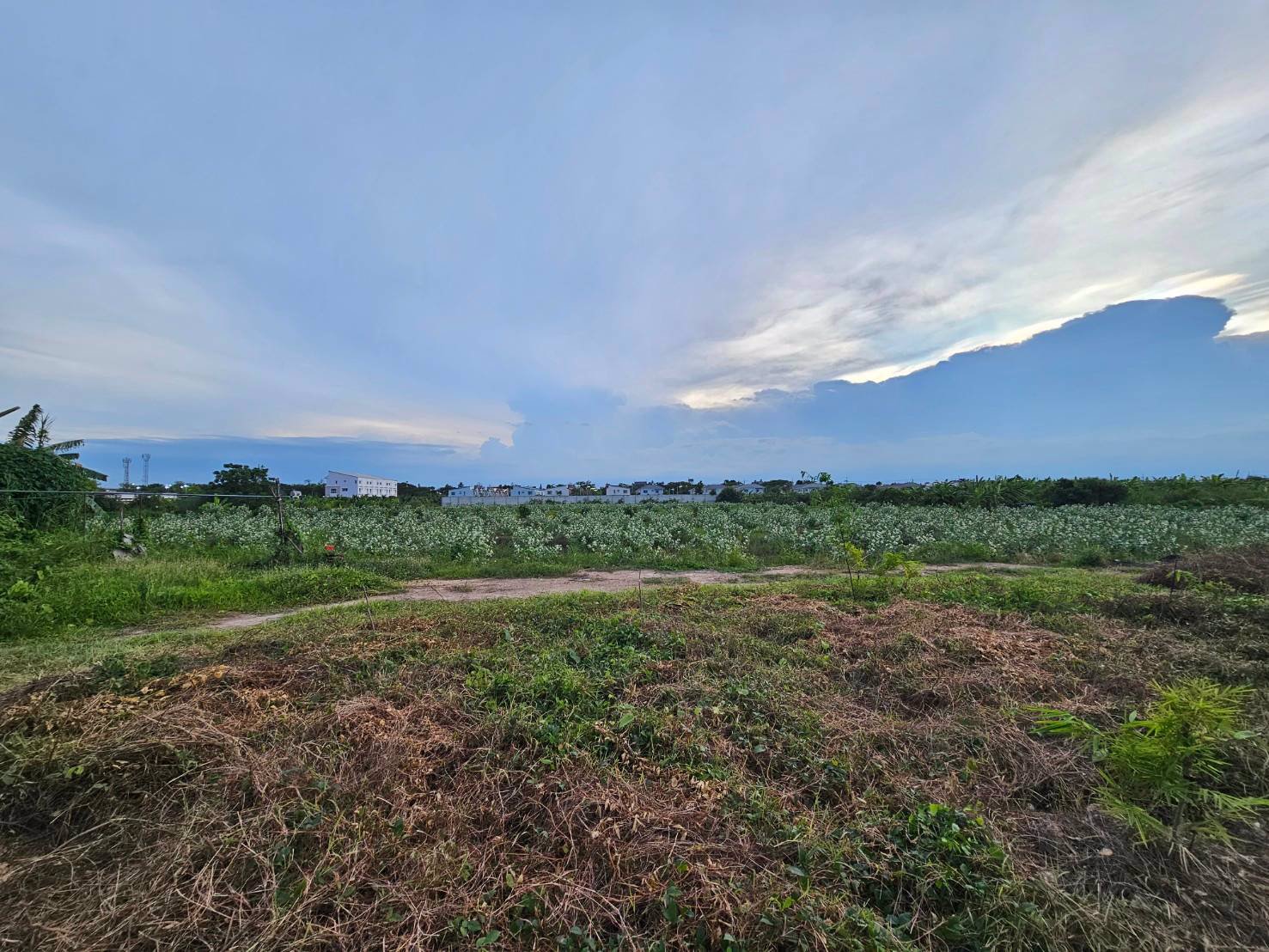 ขายที่เปล่าติดถนนพุทธสาคร-ทำเลดีราคาwowwมาก