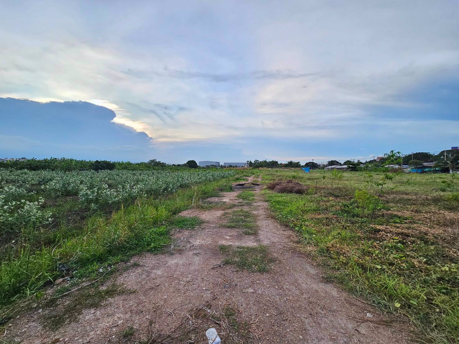 ขายที่เปล่าติดถนนพุทธสาคร-ทำเลดีราคาwowwมาก