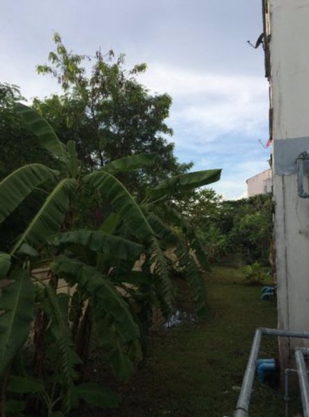 ขาย-แฟลตบ้านเอื้ออาทรบึงกุ่ม-ขนาด-33-ตรม-ตึก113-ชั้น-1