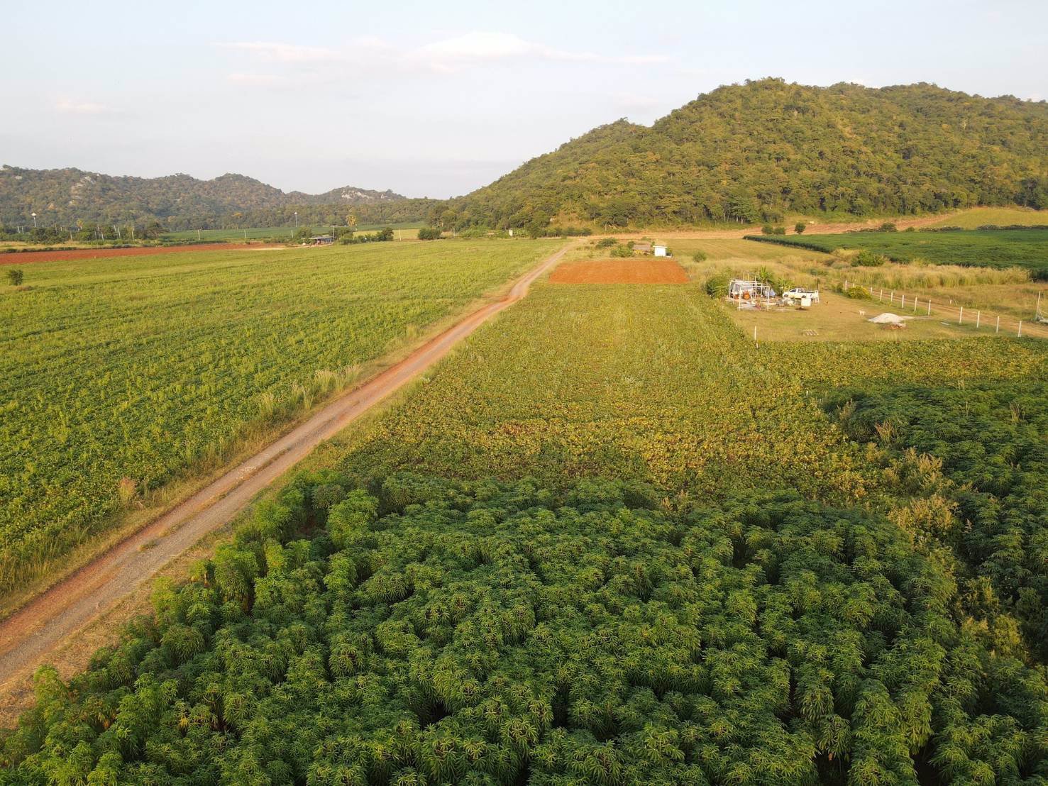 พัฒนานิคม-ช่องสาริกา-ลพบุรี-มาแล้วจ้าา