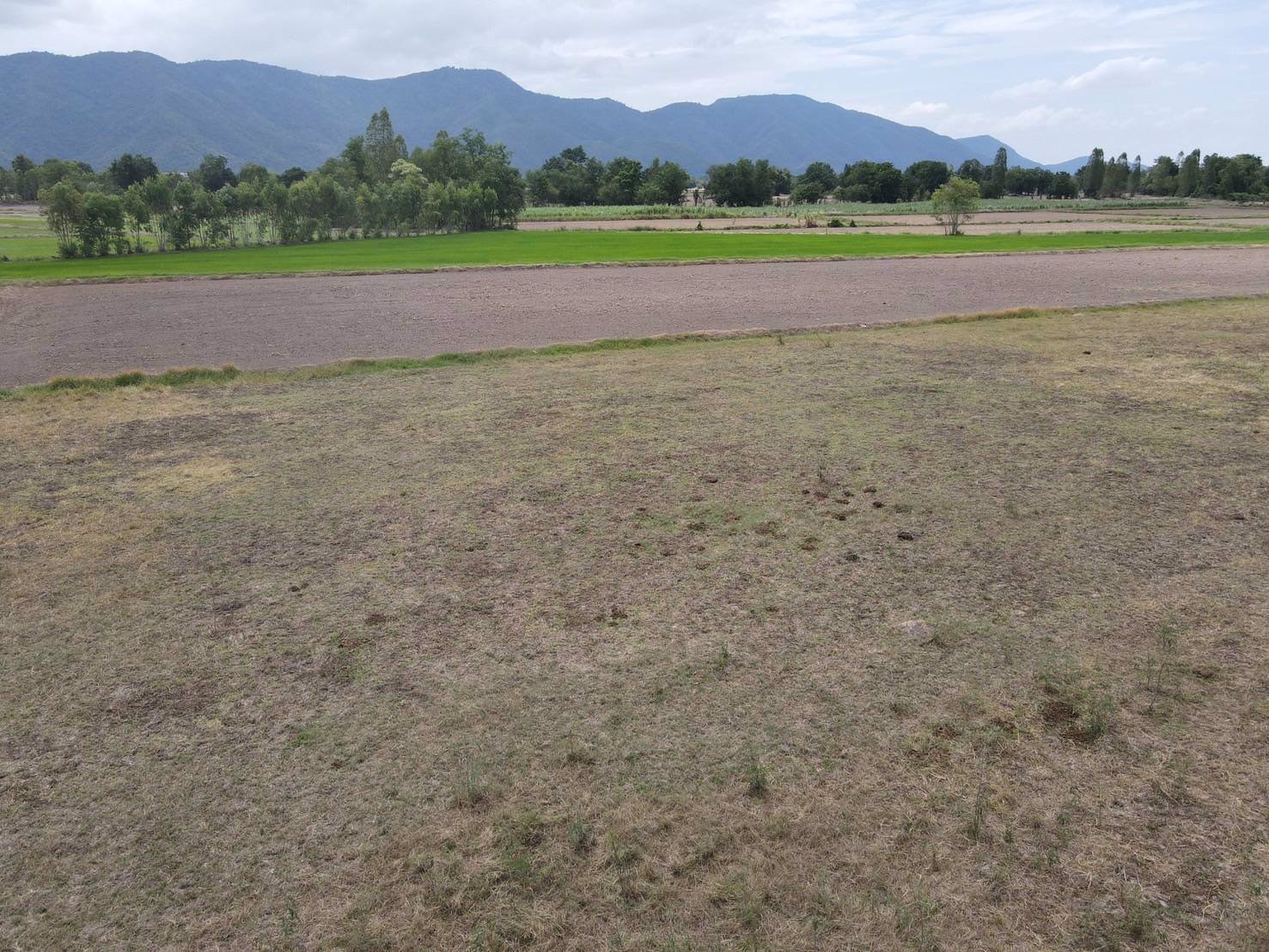 ที่ดินติดถนนลาดยาง-ต-นากลาง-อโกรกพระ-จนครสวรรค์