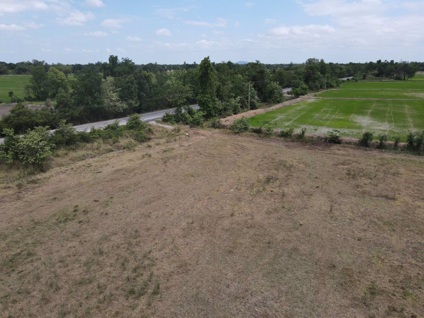 ที่ดินติดถนนลาดยาง-ต-นากลาง-อโกรกพระ-จนครสวรรค์