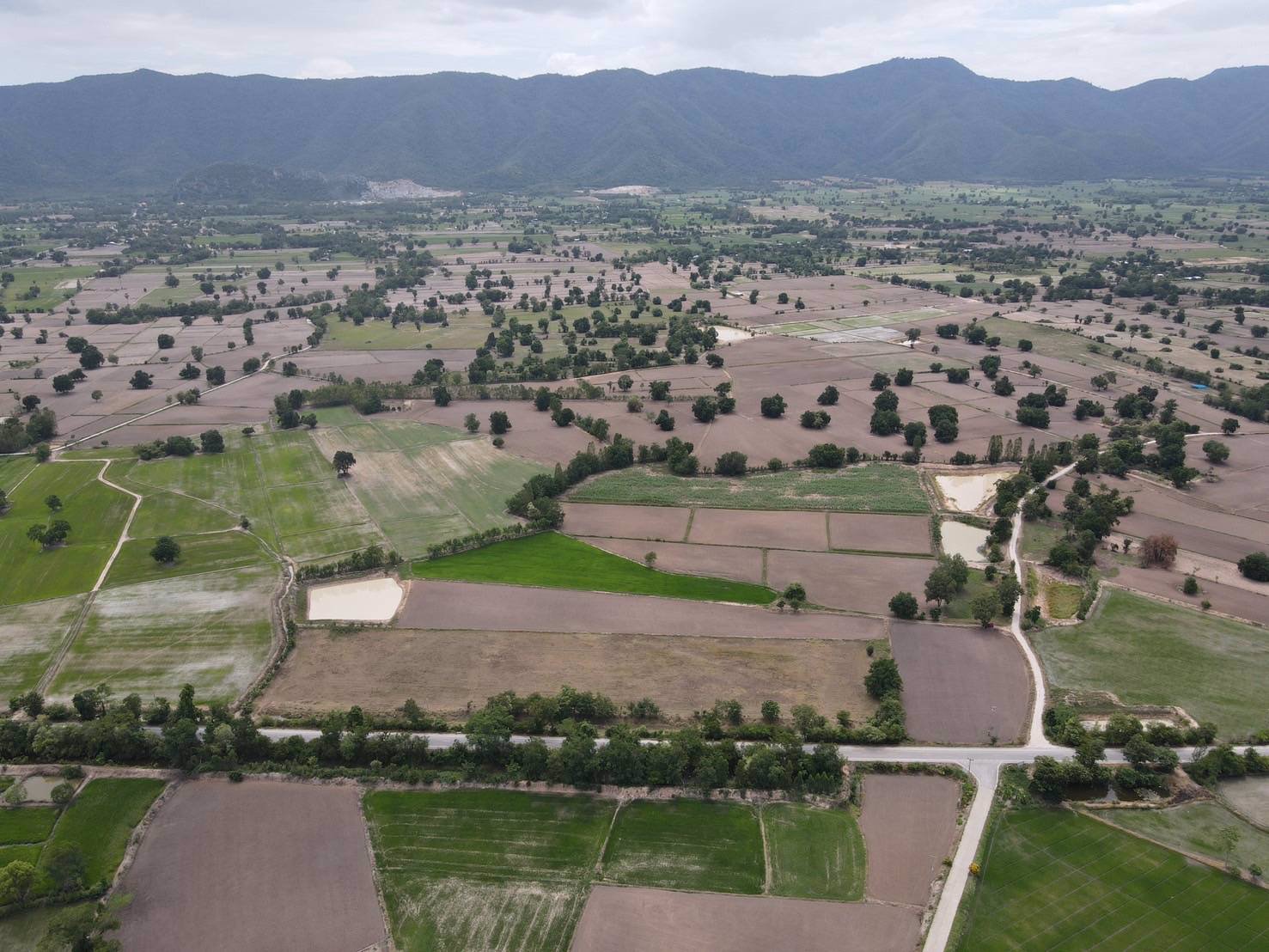 ที่ดินติดถนนลาดยาง-ต-นากลาง-อโกรกพระ-จนครสวรรค์