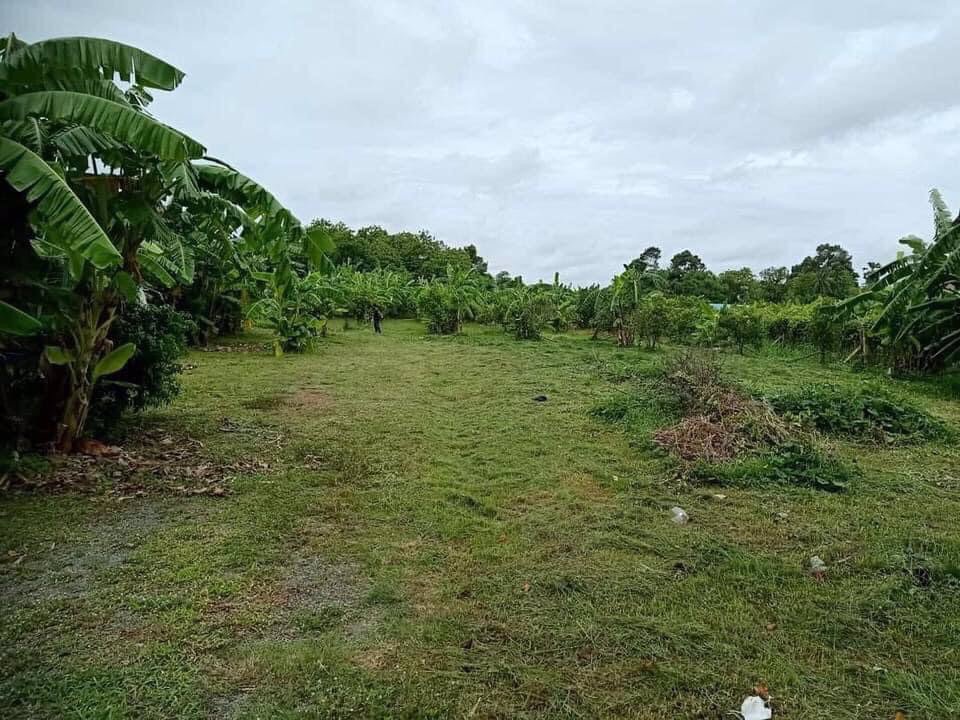 ขายรีสอร์ท-ที่ดินเนื้อที่-5-ไร่-อำเภอคลองขลุง-จังหวัดกำแพงเพชร