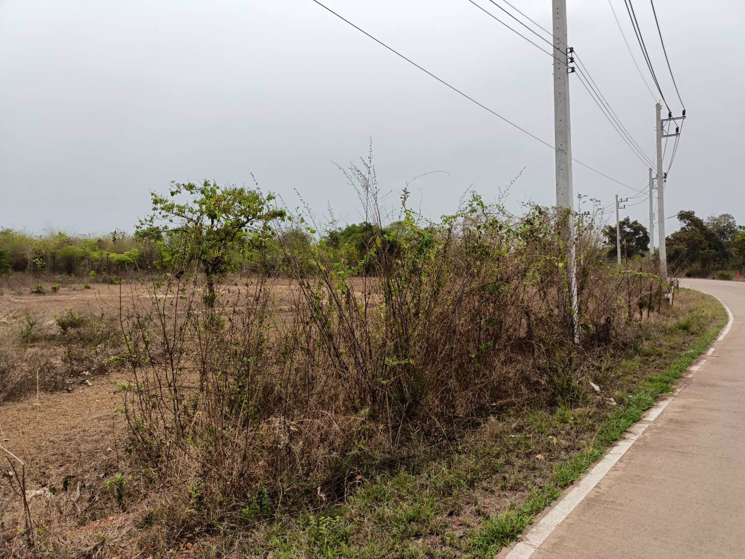 ขายที่ดิน-13ไร่-2งาน-40ตรว-แบ่งขาย-