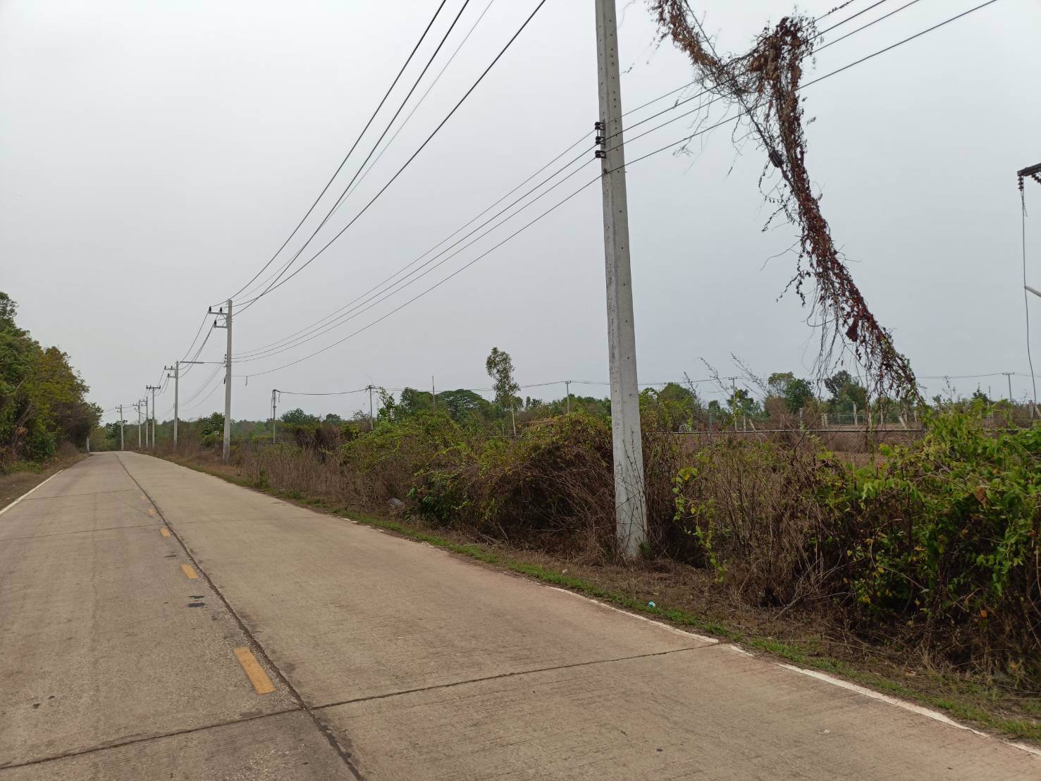 ขายที่ดิน-13ไร่-2งาน-40ตรว-แบ่งขาย-