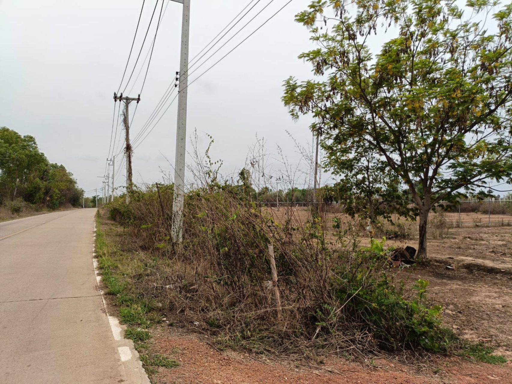 ขายที่ดิน-13ไร่-2งาน-40ตรว-แบ่งขาย-