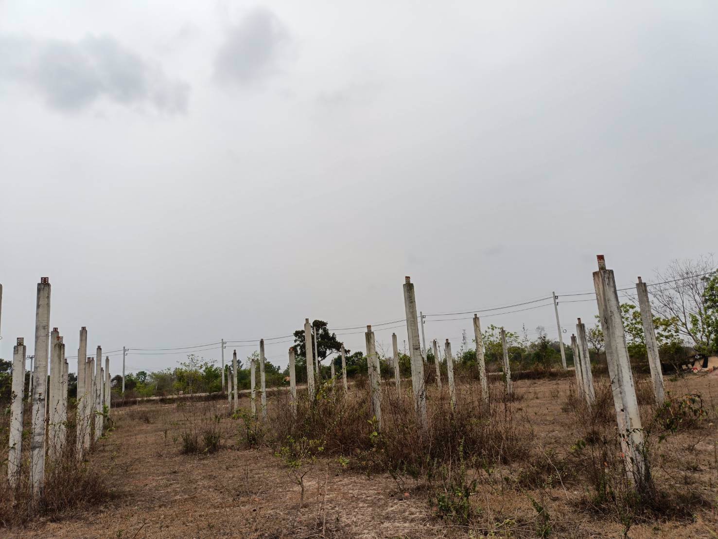 ขายที่ดิน-13ไร่-2งาน-40ตรว-แบ่งขาย-