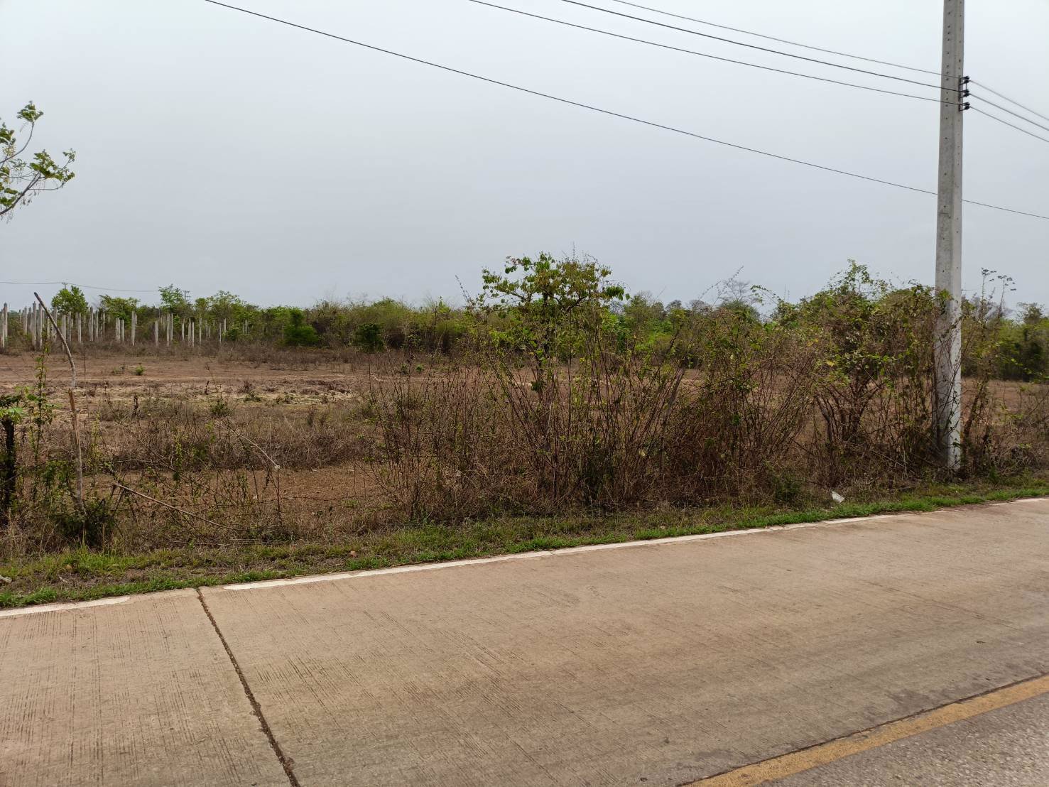 ขายที่ดิน-13ไร่-2งาน-40ตรว-แบ่งขาย-