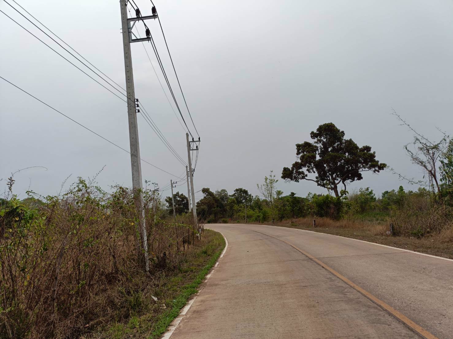 ขายที่ดิน-13ไร่-2งาน-40ตรว-แบ่งขาย-