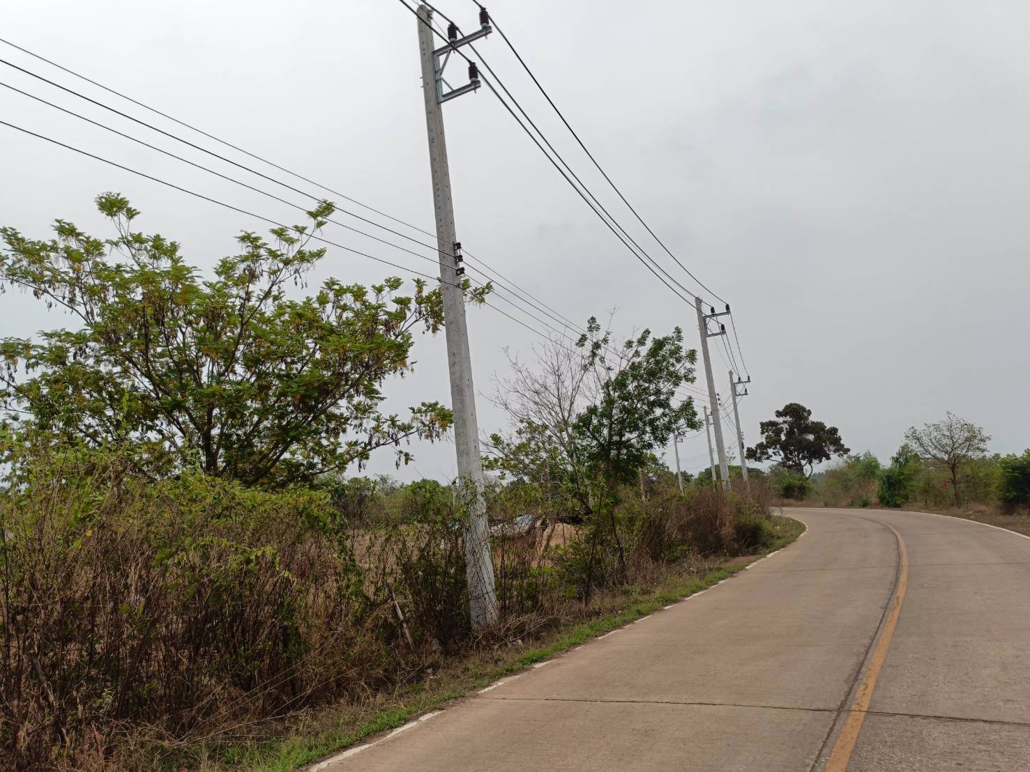 ขายที่ดิน-13ไร่-2งาน-40ตรว-แบ่งขาย-