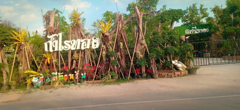 ขายที่ดิน-ทำเลดี-ติดร้านกำไรทอง