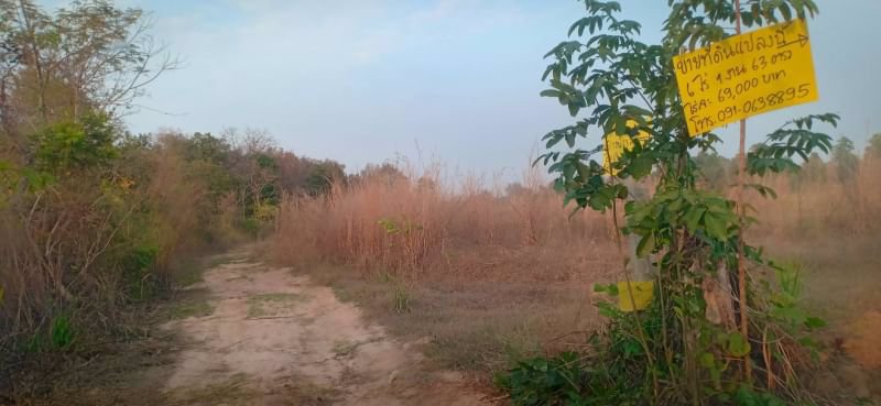 ขายที่ดินในซอยข้าง-รรบ้านหายโศก