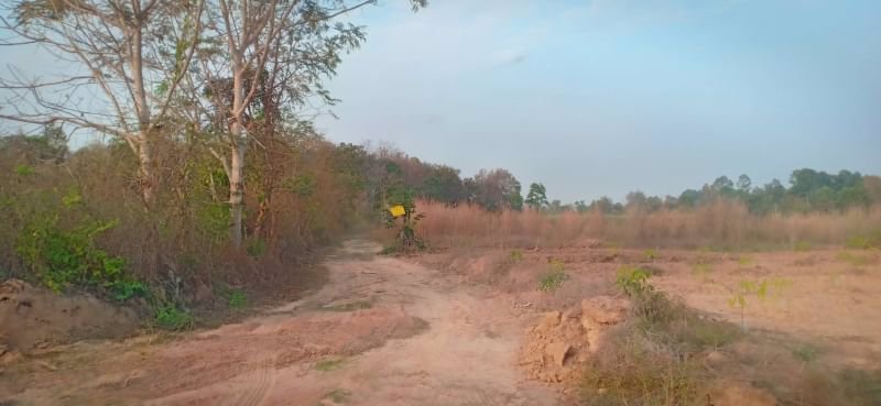 ขายที่ดินในซอยข้าง-รรบ้านหายโศก