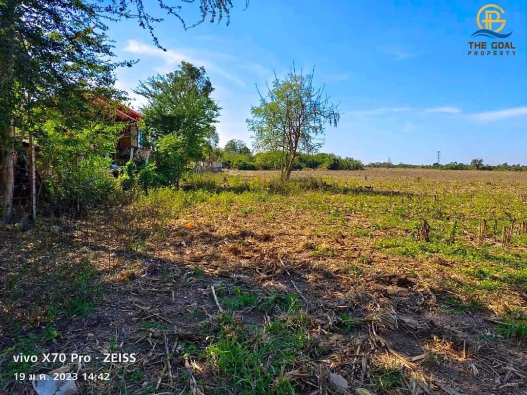 โครงการ-ที่ดินแปลงใหญ่-ติดถนนสาย-304-ปักธงชัย-นครราชสีมา