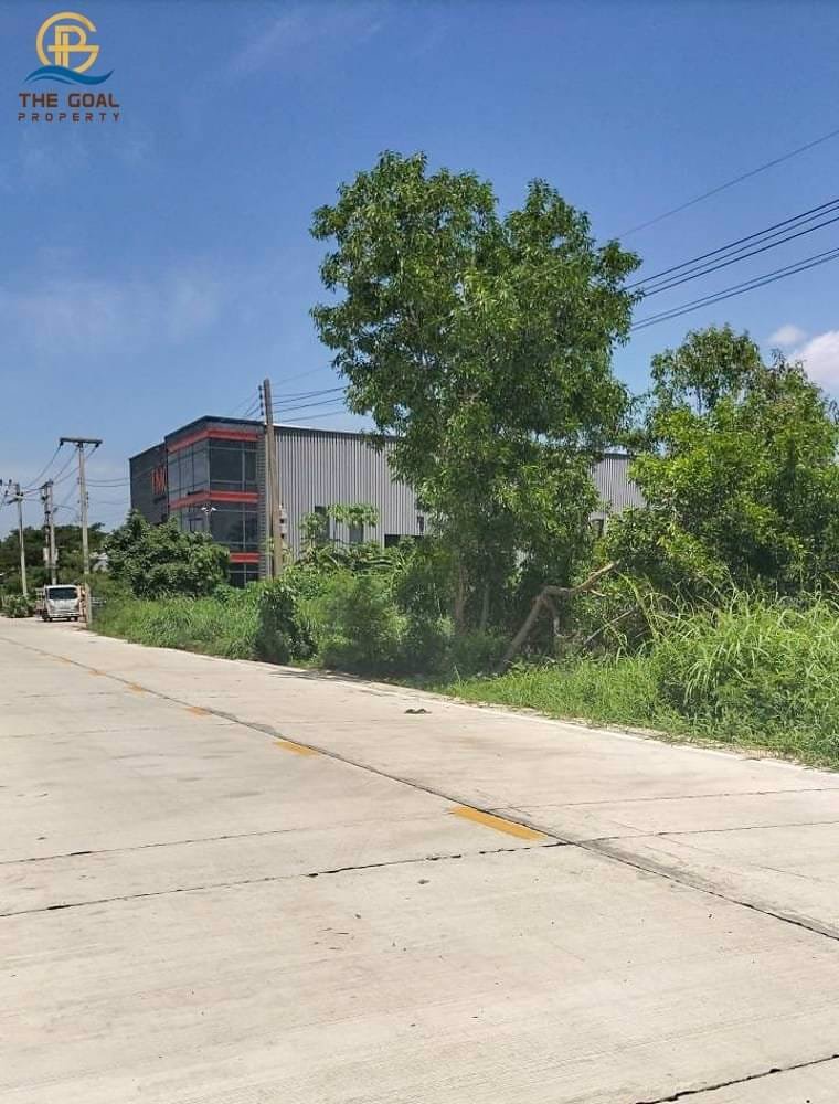 ที่ดินแปลงนี้มีถนนคอนกรีตผ่านแล้วนะ-รีบมาจับจองกันจ้า-
