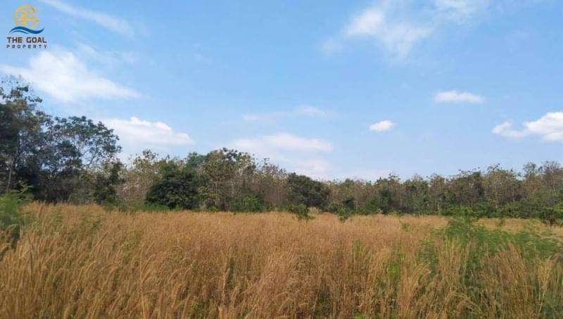 โครงการ-ที่ดินเปล่า-พร้อมไร่สักทองและมะม่วงหิมพานต์-