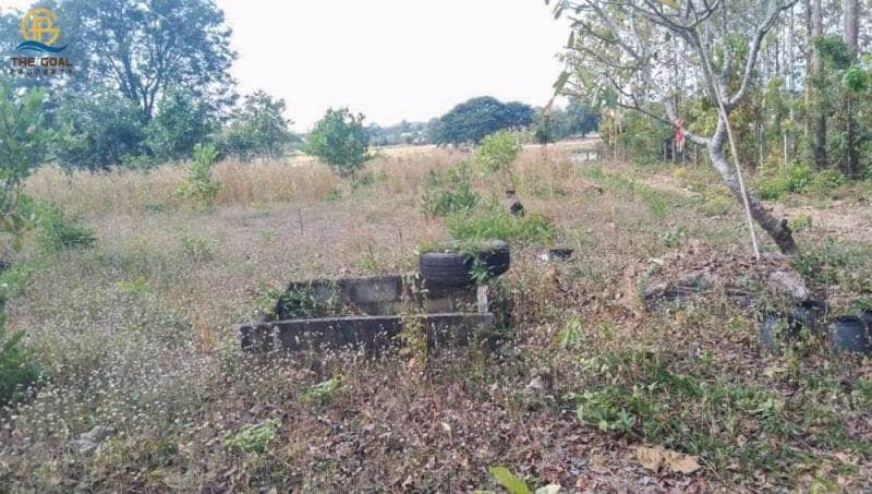 โครงการ-ที่ดินเปล่า-พร้อมไร่สักทองและมะม่วงหิมพานต์-