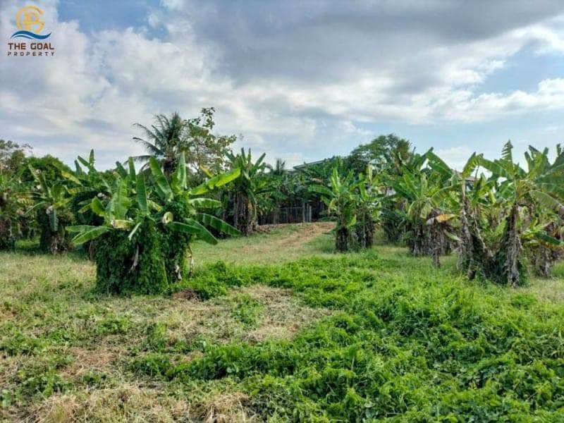 โครงการ-ที่ดินเปล่า-พร้อมไร่สักทองและมะม่วงหิมพานต์-