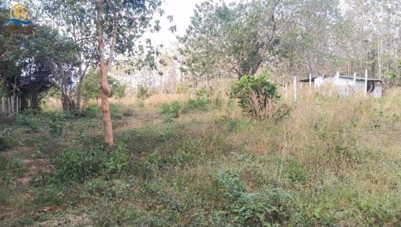 โครงการ-ที่ดินเปล่า-พร้อมไร่สักทองและมะม่วงหิมพานต์-