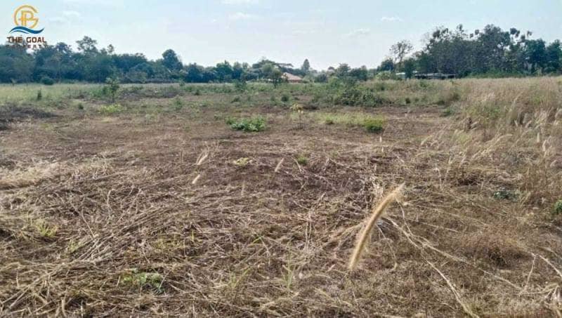 โครงการ-ที่ดินเปล่า-พร้อมไร่สักทองและมะม่วงหิมพานต์-