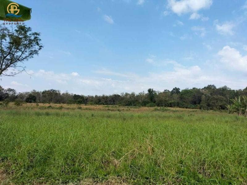 โครงการ-ที่ดินเปล่า-พร้อมไร่สักทองและมะม่วงหิมพานต์-