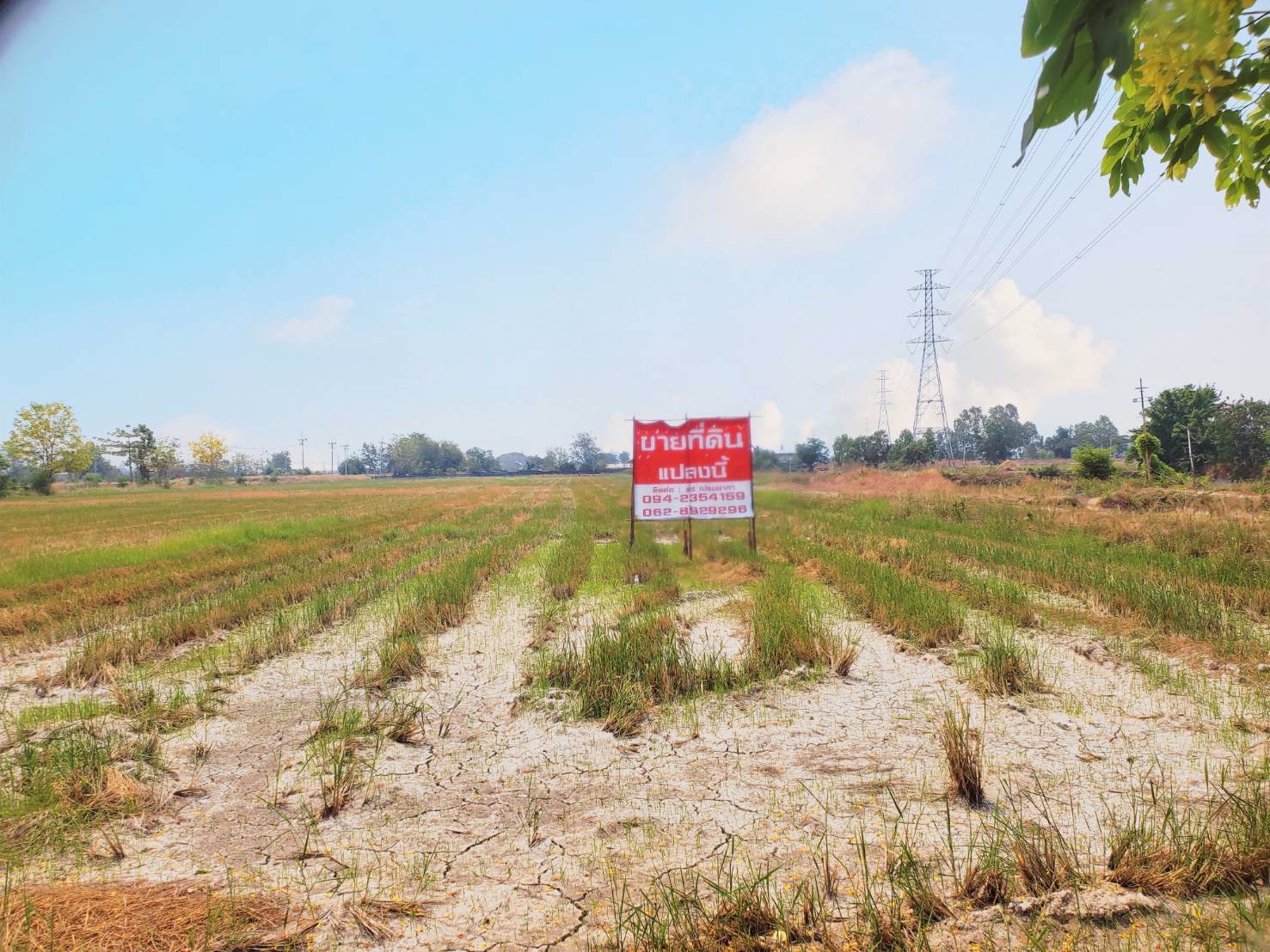 ขายที่ดินทำเลทอง-พื้นที่ดิน-อบ้านธิ-จังหวัดลำพูน