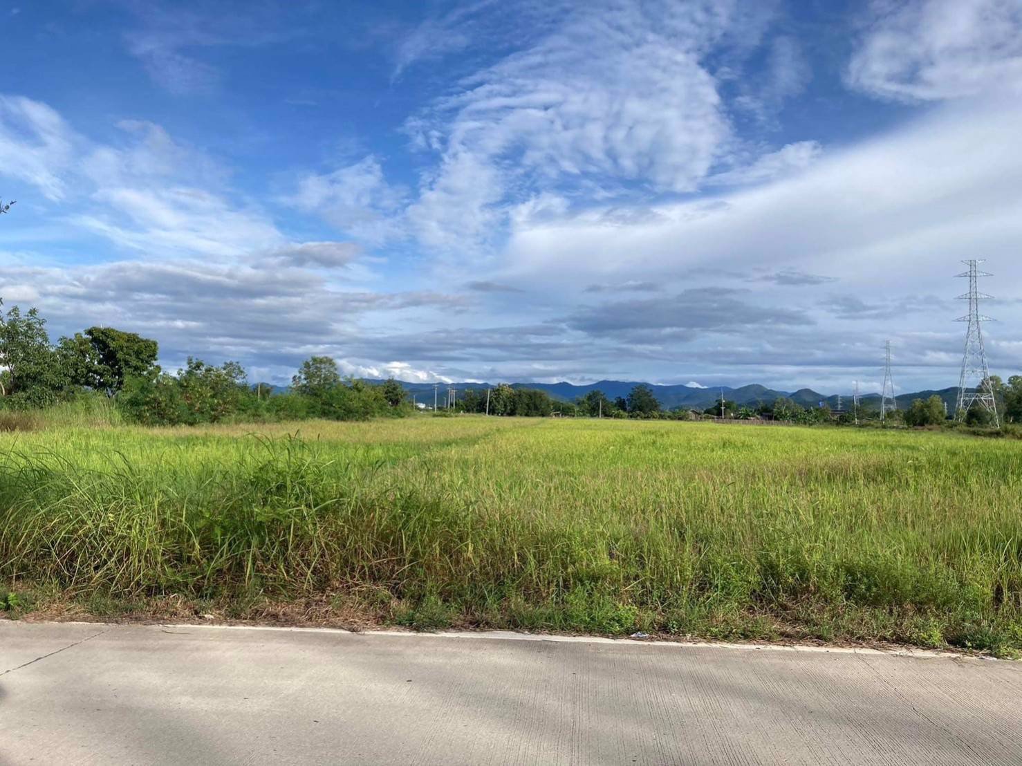 ขายที่ดินทำเลทอง-พื้นที่ดิน-อบ้านธิ-จังหวัดลำพูน