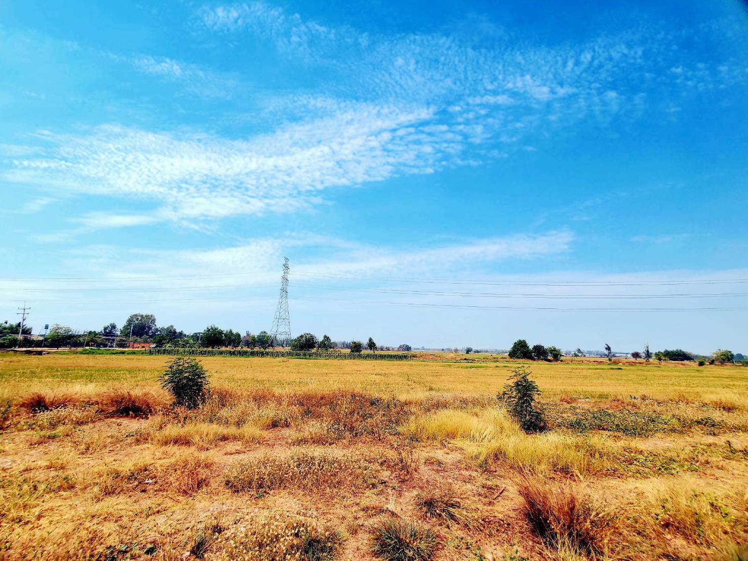 ขายที่ดินทำเลทอง-พื้นที่ดิน-อบ้านธิ-จังหวัดลำพูน