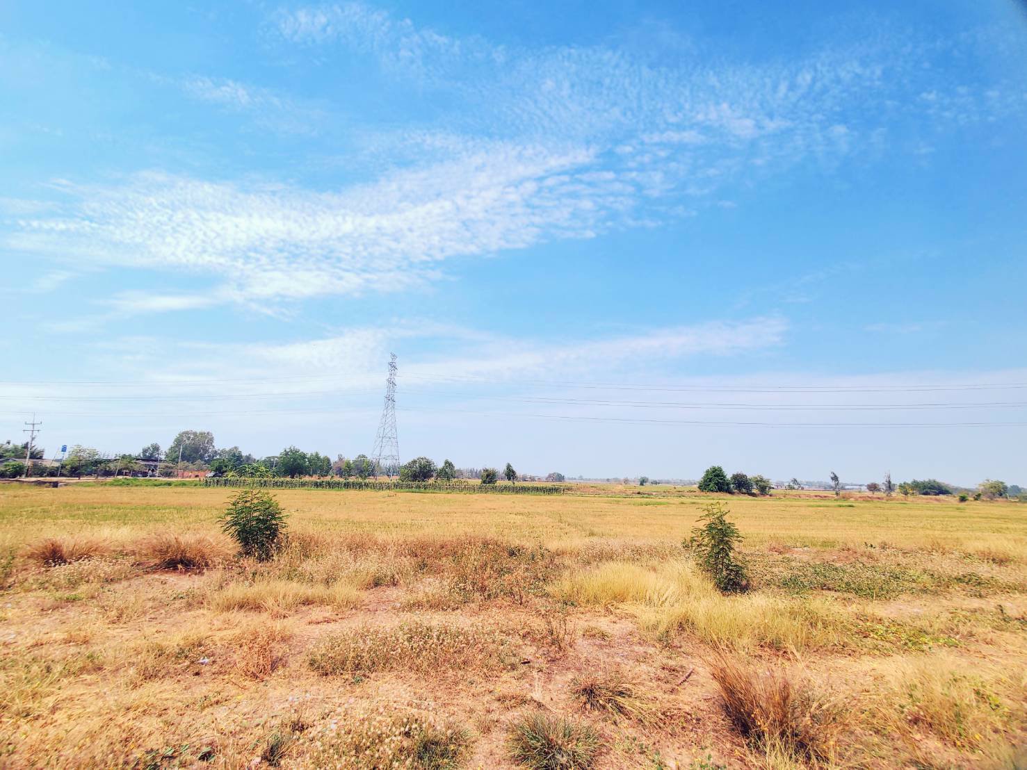 ขายที่ดินทำเลทอง-พื้นที่ดิน-อบ้านธิ-จังหวัดลำพูน