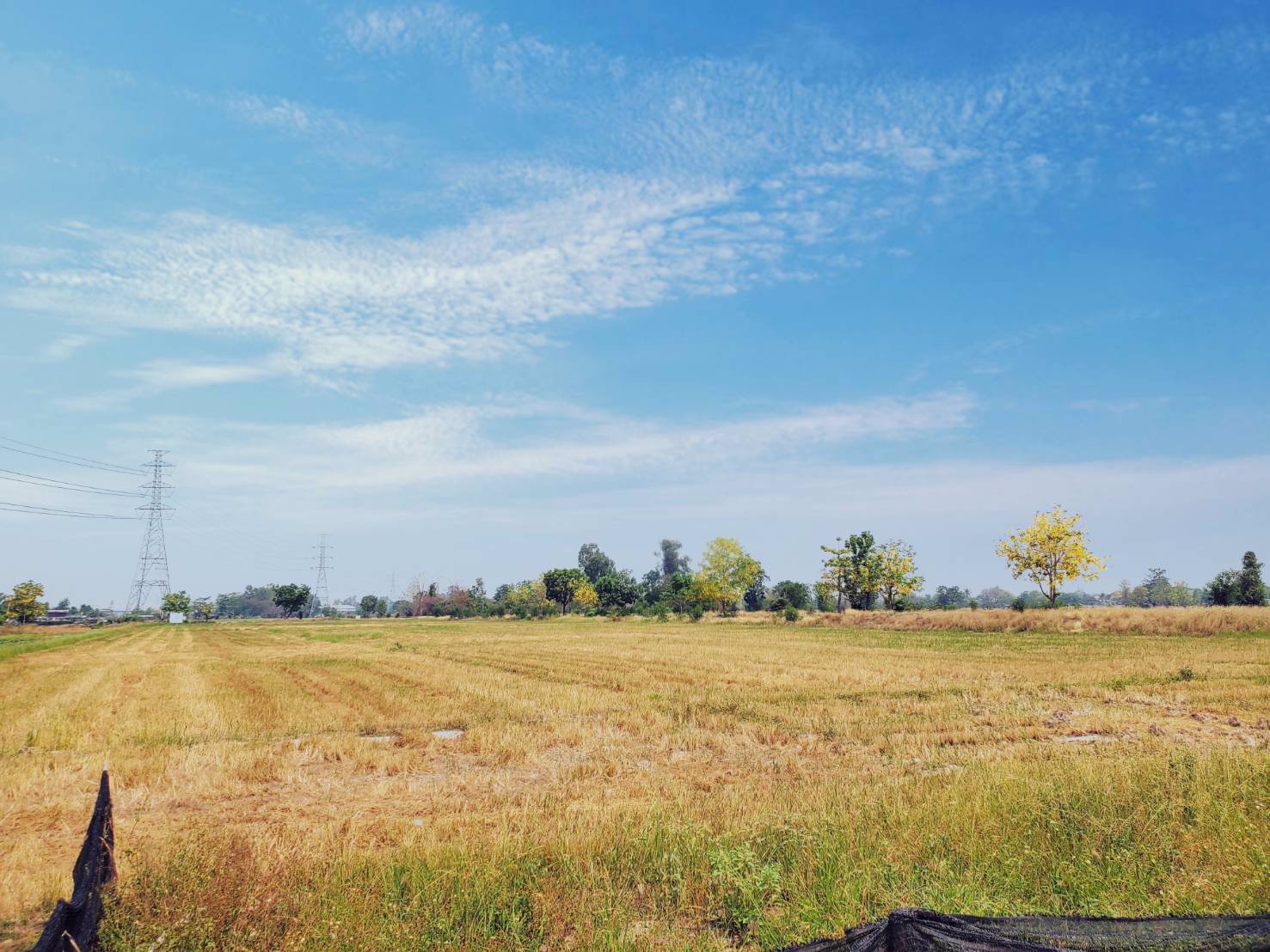 ขายที่ดินทำเลทอง-พื้นที่ดิน-อบ้านธิ-จังหวัดลำพูน