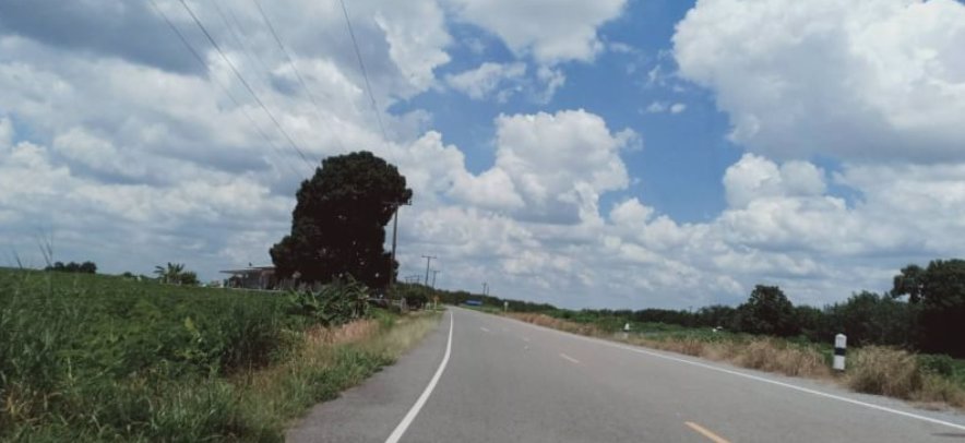 ขายที่ดิน-2ไร่-1งาน-97ตรว-ราคา59ล้านบาท