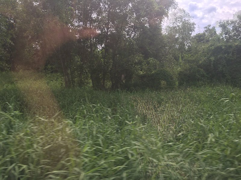 ขายที่ดินคลองหลวง-ปทุมธานี-50-ตรว-ที่มีโฉนด-พร้อมโอน-ประตูน้ำพระอินทร์-ที่สวย-ทำเลดี