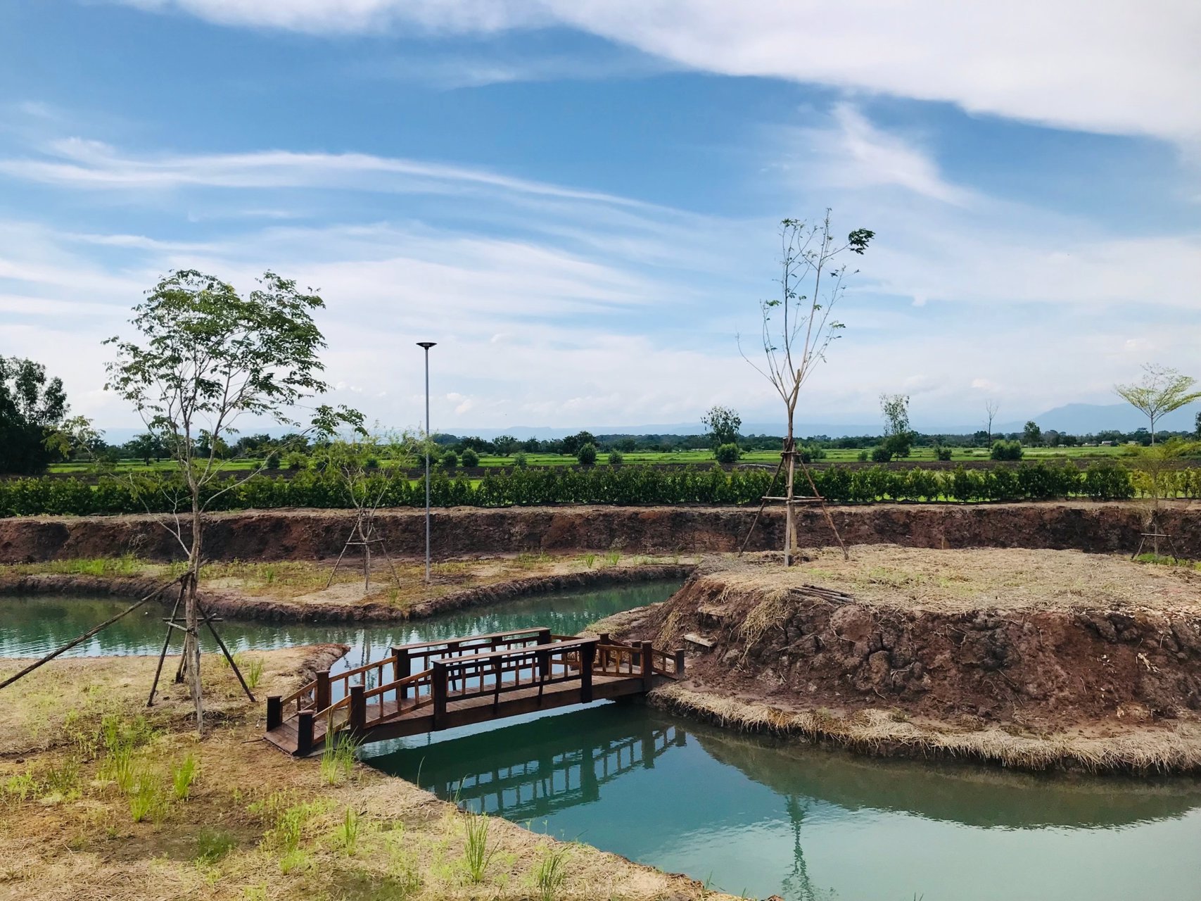 โปรโมชั่นสุดพิเศษที่ดินสวยแบ่งขาย-อปากพลี-จนครนายก